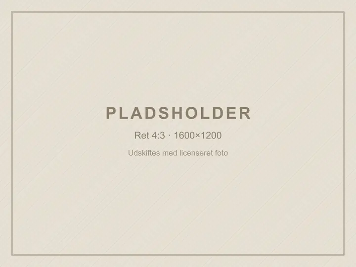 Grafisk pladsholder med teksten PLADSHOLDER. Retten er endnu ikke fotograferet, og billedet viser ikke det færdige måltid.